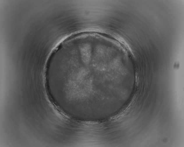 X0000095110436200712301740