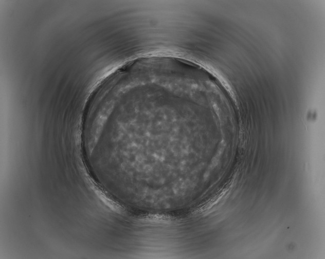 X0000095110437200712301740