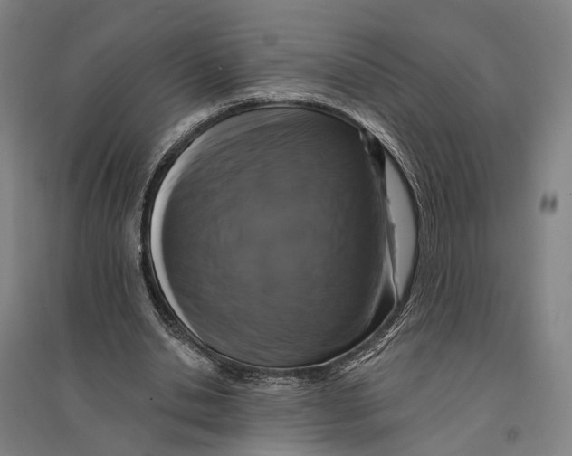 X0000095110438200712301740