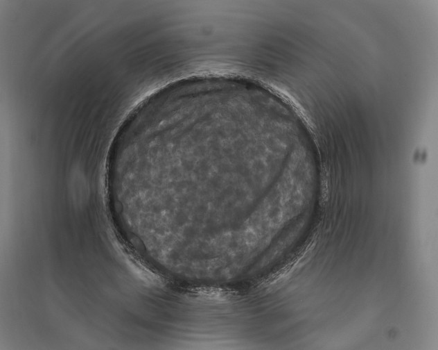 X0000095110439200712301740