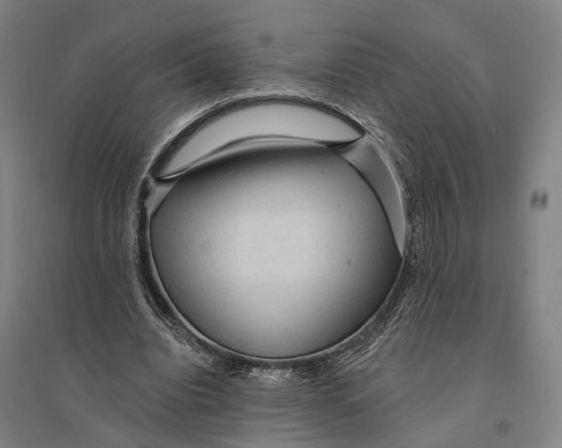 X0000095110440200712301740