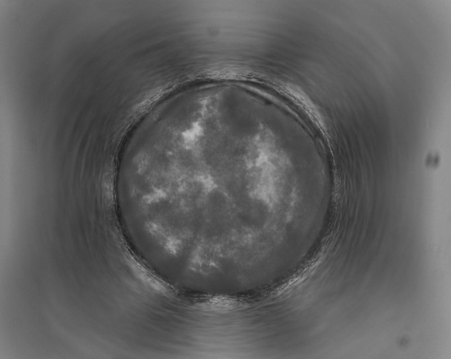 X0000095110441200712301740