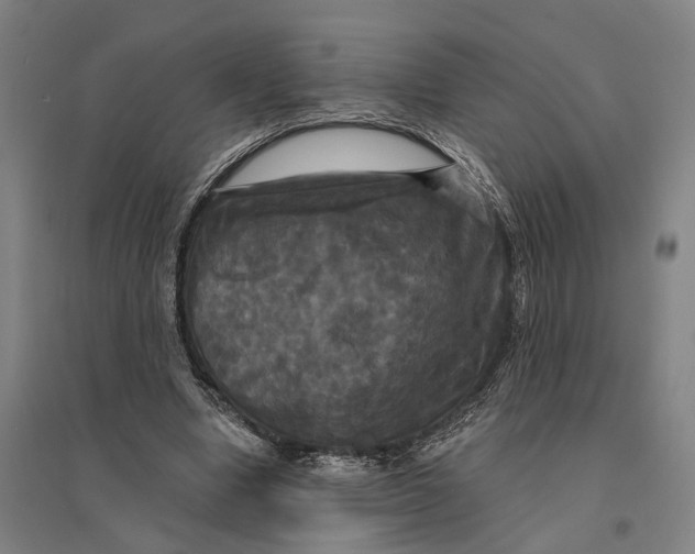 X0000095110442200712301740