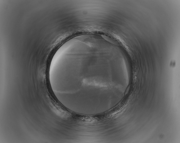 X0000095110443200712301740