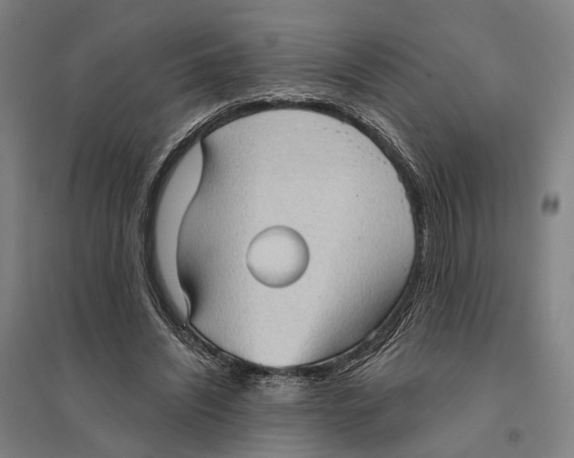 X0000095110444200712301740