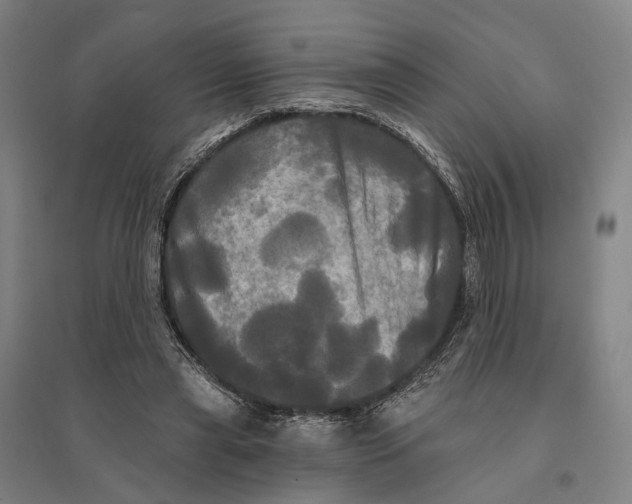 X0000095110445200712301740