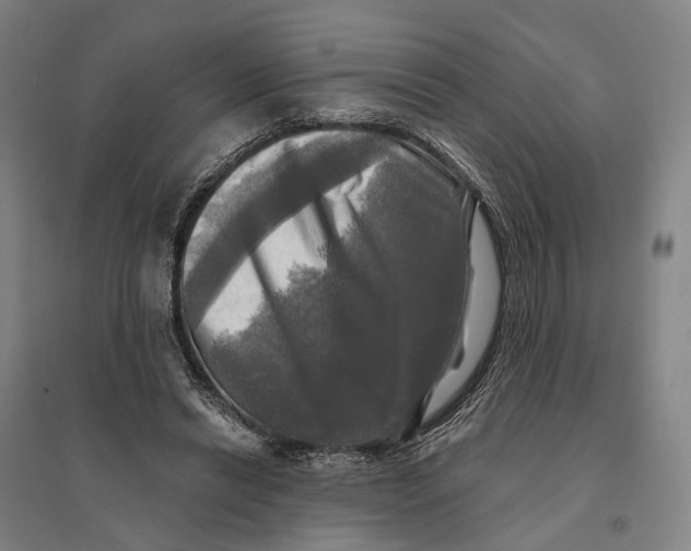 X0000095110446200712301740