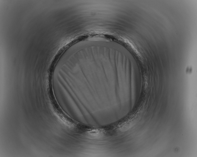 X0000095110447200712301740