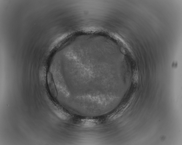 X0000095110448200712301740