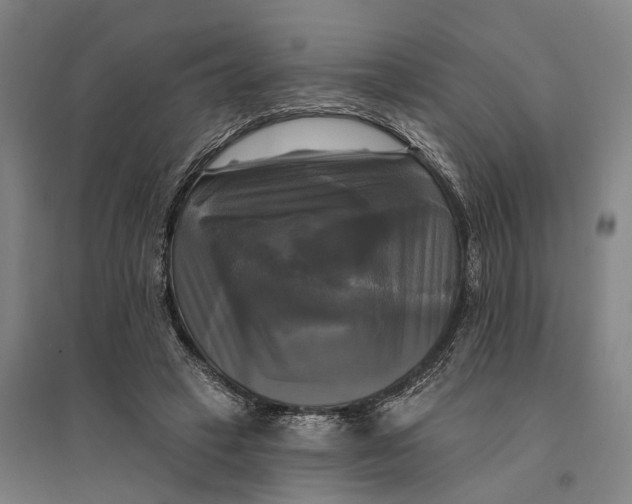 X0000095110449200712301740