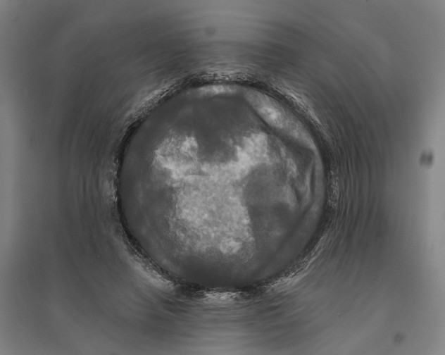 X0000095110450200712301740