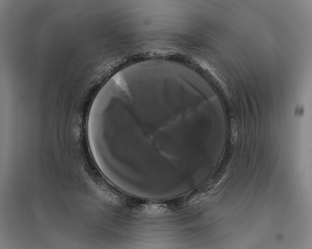 X0000095110451200712301740