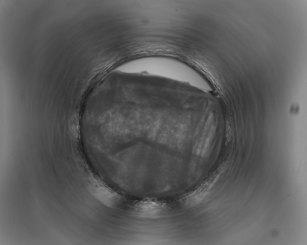 X0000095110453200712301740