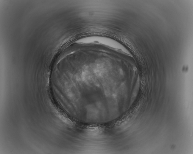 X0000095110454200712301740