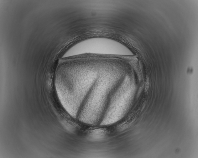 X0000095110456200712301740