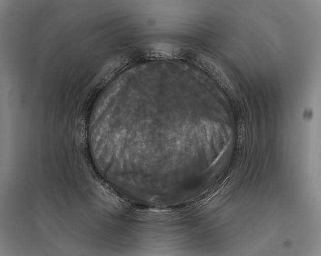 X0000095110457200712301740