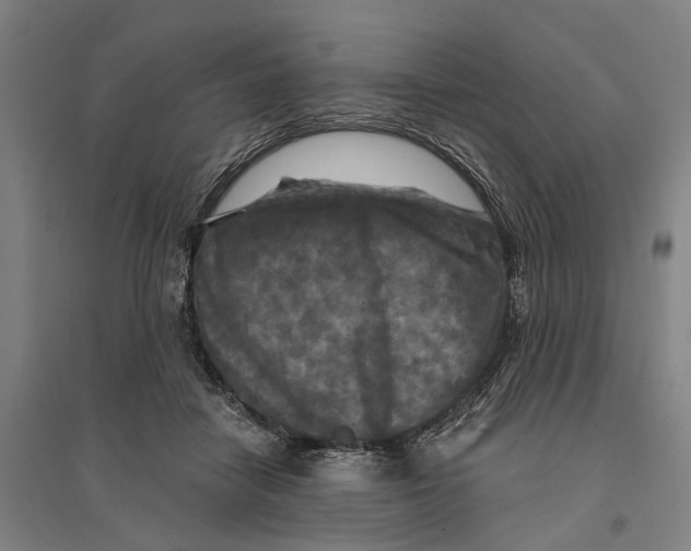 X0000095110458200712301740