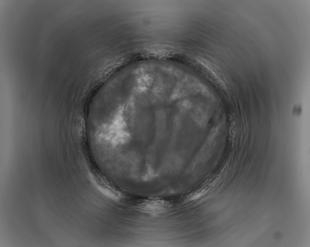 X0000095110459200712301740