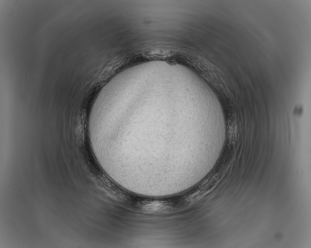 X0000095110460200712301740