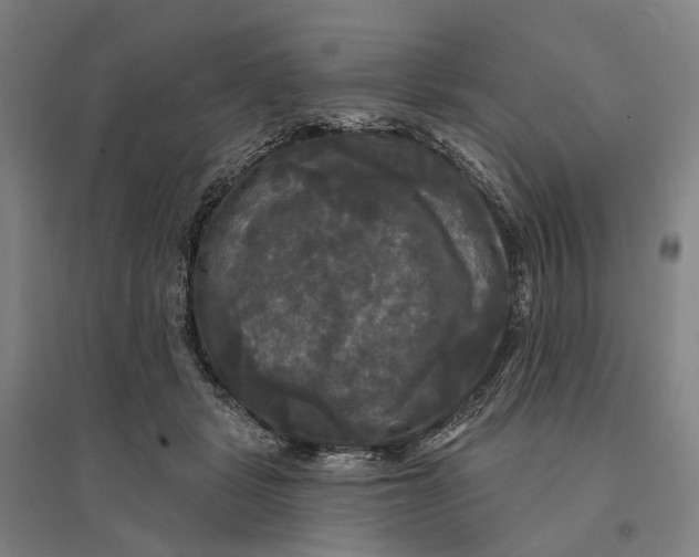 X0000095110461200712301740