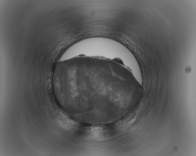 X0000095110462200712301740