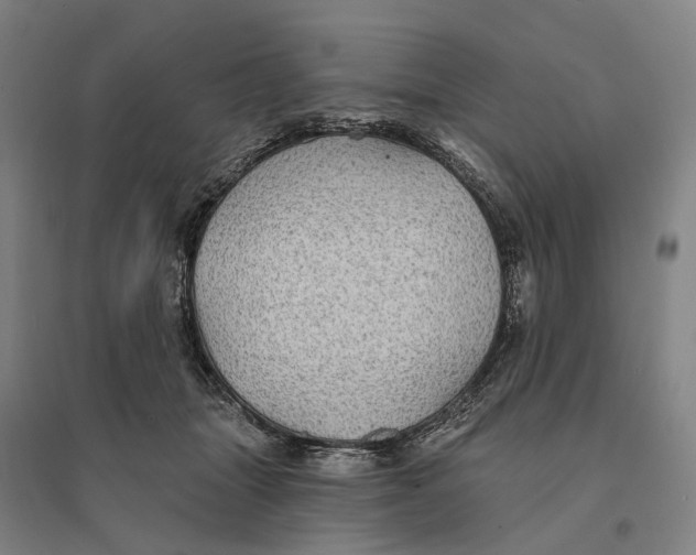 X0000095110463200712301740