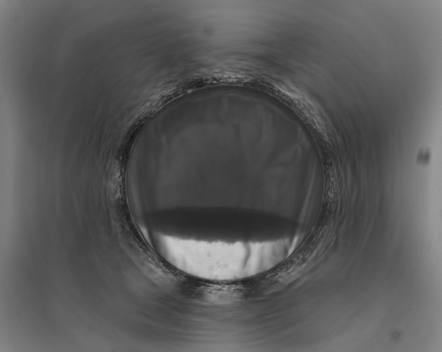 X0000095110465200712301741