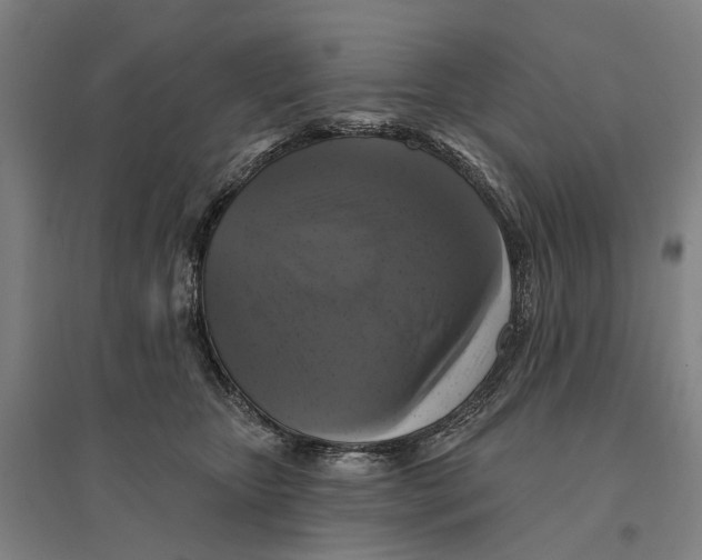 X0000095110467200712301741