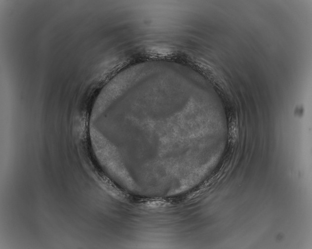 X0000095110468200712301741