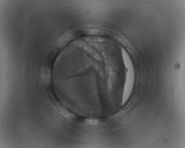 X0000095110469200712301741