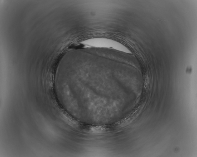 X0000095110470200712301741