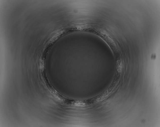 X0000095110471200712301741