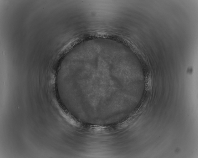 X0000095110472200712301741