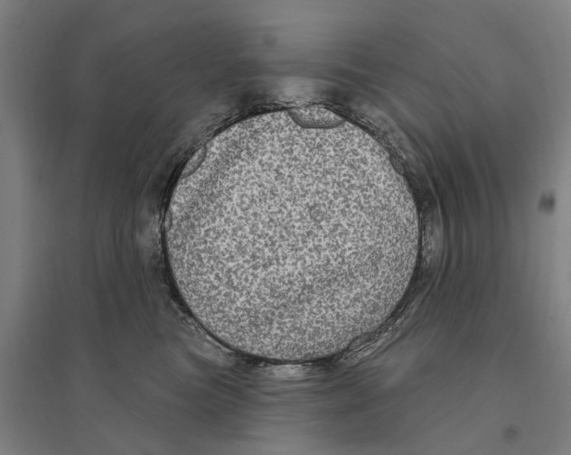 X0000095110473200712301741