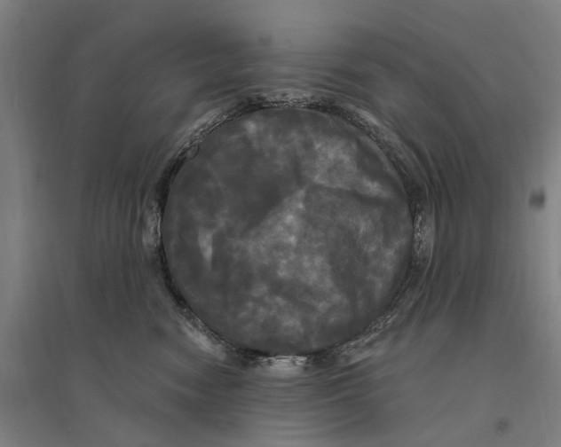 X0000095110474200712301741