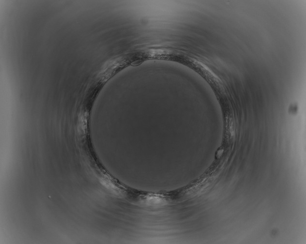 X0000095110475200712301741