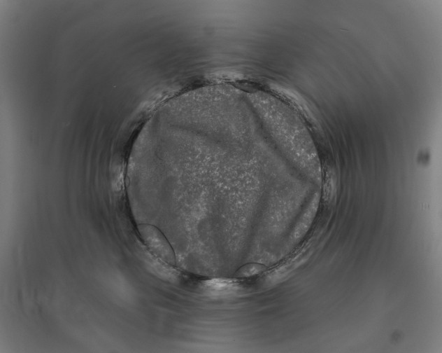 X0000095110477200712301741