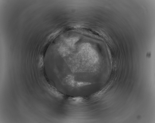 X0000095110478200712301741