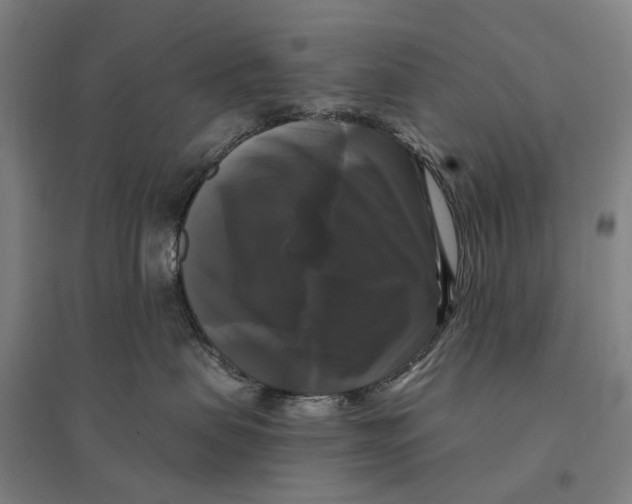 X0000095110479200712301741