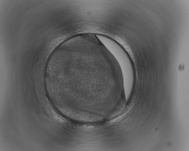 X0000095110481200712301740