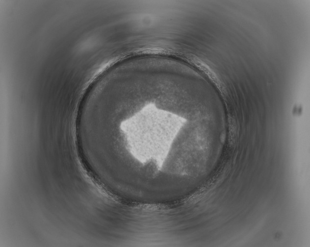 X0000095110482200712301740