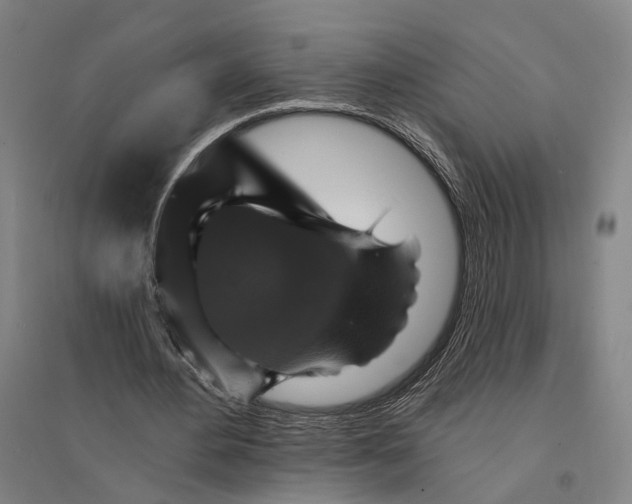 X0000095110484200712301740