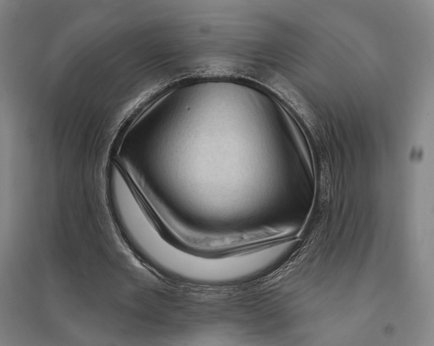 X0000095110485200712301740