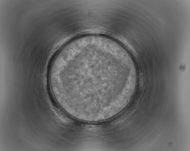 X0000095110486200712301740