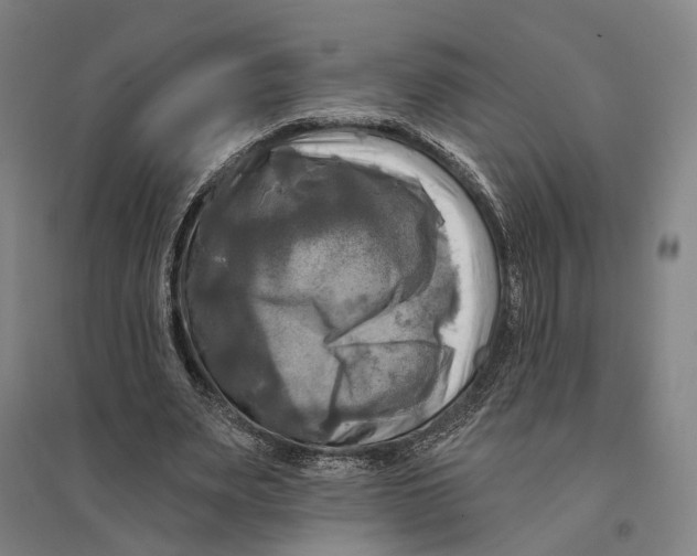 X0000095110487200712301740