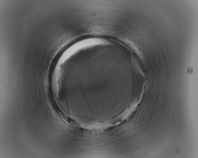 X0000095110488200712301740