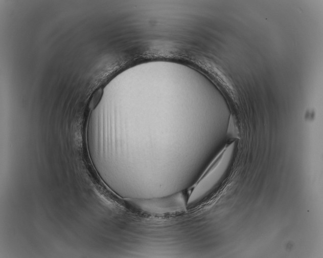 X0000095110489200712301740