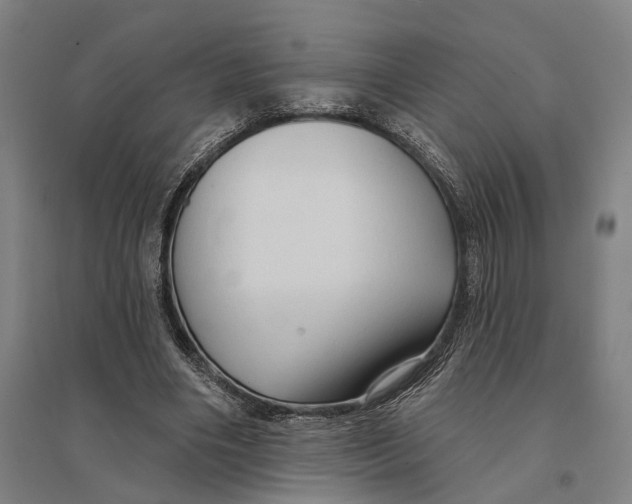 X0000095110490200712301740