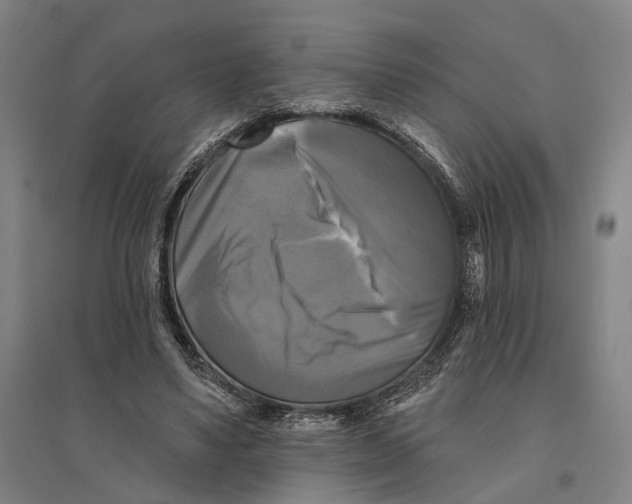 X0000095110491200712301740