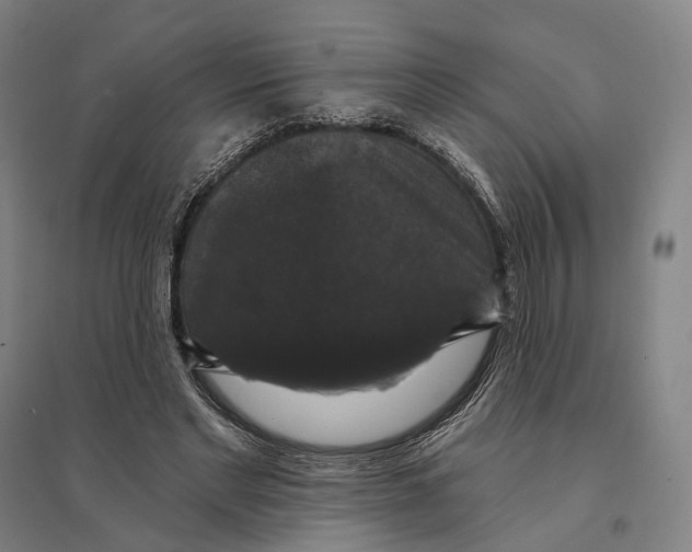 X0000095110493200712301740